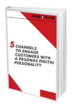 5 Channels for PRSONAS Digital Personalities ebook